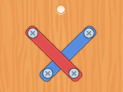 Nuts Bolts Screw Puzzle